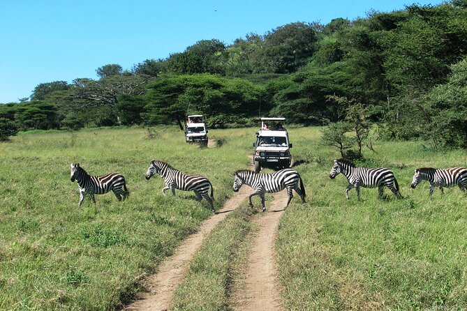 Ngorongoro Crater Day Trip – Shared Group Safari - Hippo pools and the wetter corners of the crater