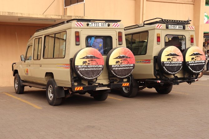 Ngorongoro Crater Day Trip - Seven hours among crater wildlife