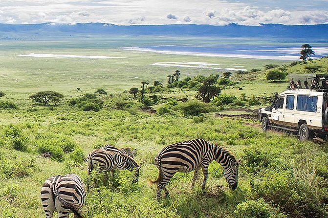 Ngorongoro Crater Exclusive: A Journey into Africa’s Eden - Afternoon wildlife viewing at 2:00 pm