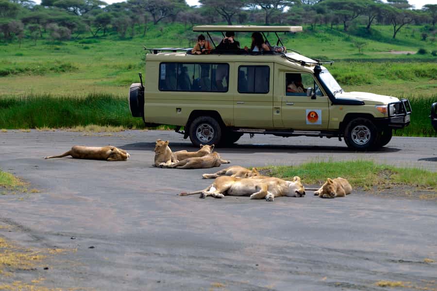 Ngorongoro Crater: Full-Day Safari Tour - Key points to know before booking