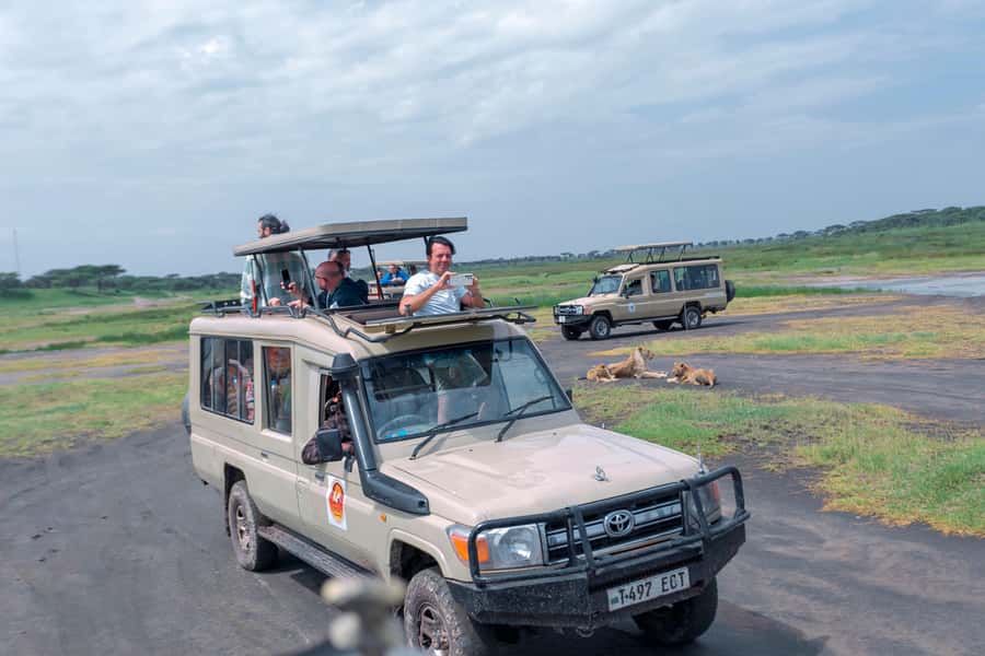 Ngorongoro Crater: Full-Day Safari Tour - Why Ngorongoro Crater is such a powerful safari setting