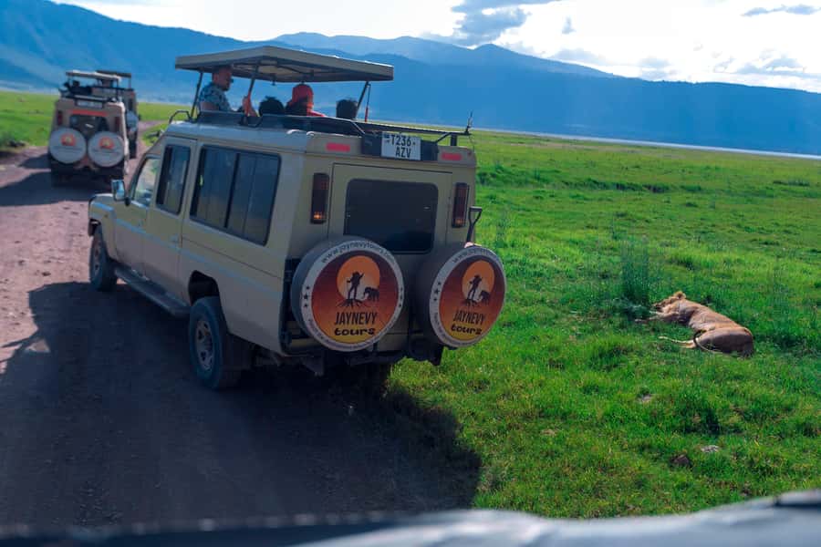 Ngorongoro Crater: Full-Day Safari Tour - Five hours on the crater floor