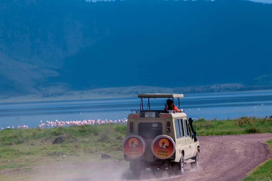 Ngorongoro Crater: Full-Day Safari Tour - Who should book this full-day safari?
