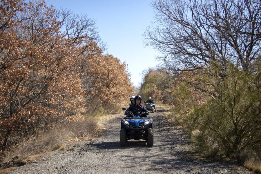 Nicolosi: Mt. Etna Guided Quad Tour Adventure - Key points to know before booking