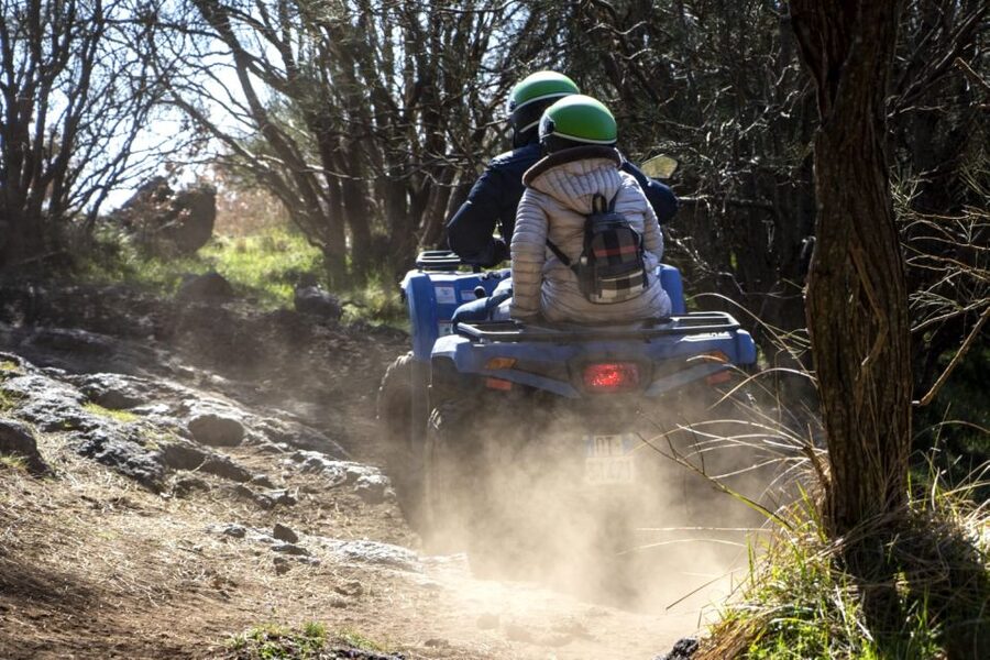 Nicolosi: Mt. Etna Guided Quad Tour Adventure - Broom forest, pine trees, and green patches