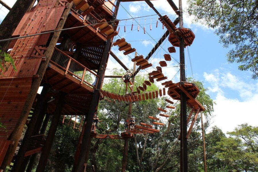Oahu: Coral Crater Challenging Adventure Course - The 18 obstacles and how the hour unfolds