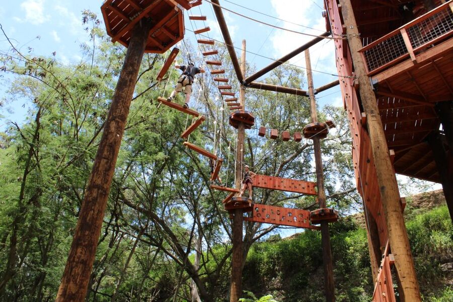 Oahu: Coral Crater Challenging Adventure Course - Who will enjoy this most