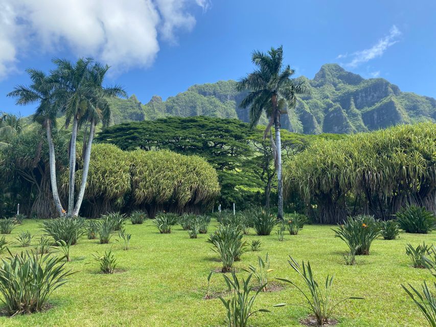 Oahu: Diamond Head Crater Hike and North Shore Experience - Dole Plantation: a final stop with optional extras