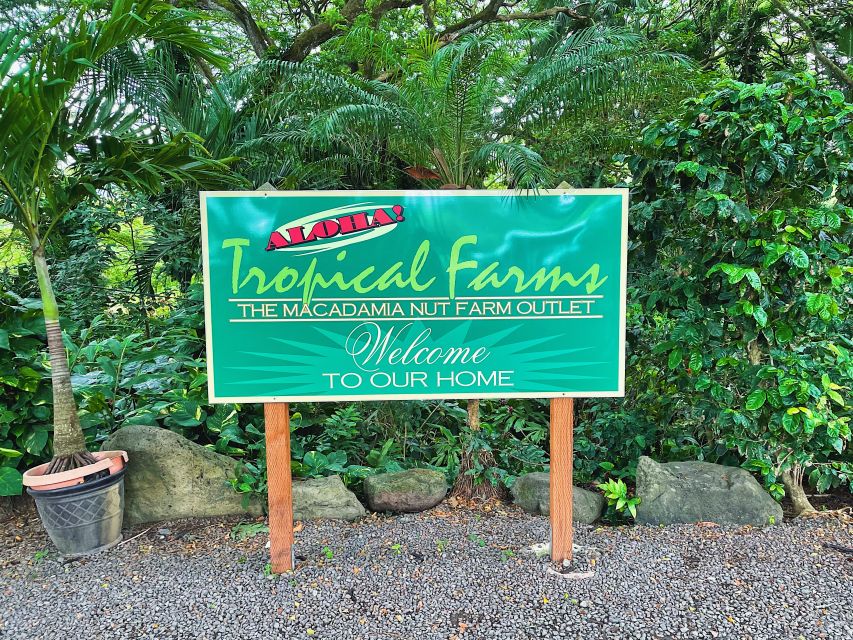 Oahu: Diamond Head Crater Hike and North Shore Experience - Haleiwa Beach Park and possible turtle sightings