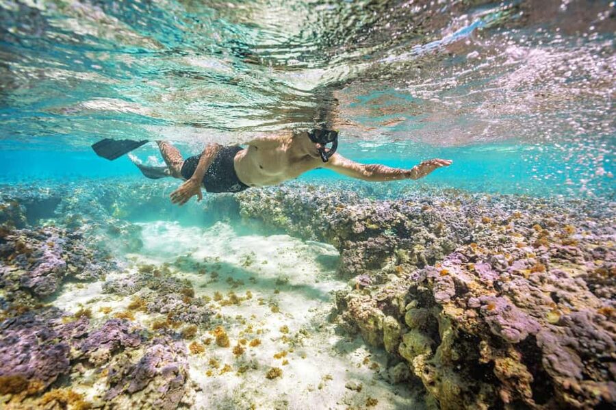 Oahu : Hanauma Bay Admission Ticket+Equipment Rental - Collecting your gear in Waikiki