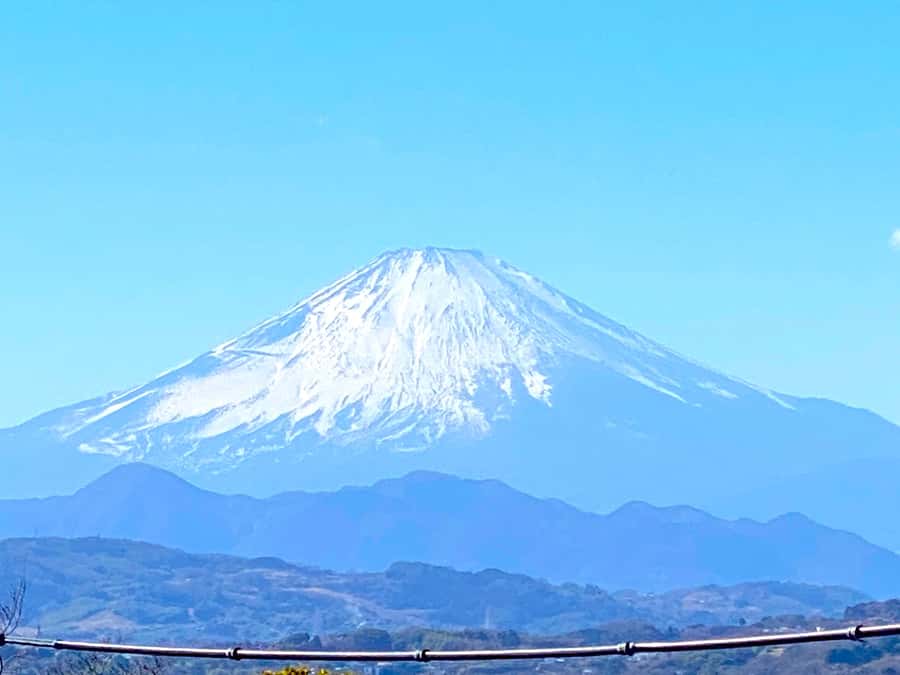 Oiso: Adventure Hike to See Mt. Fuji & Historic Coastal Walk - Key points to know before booking