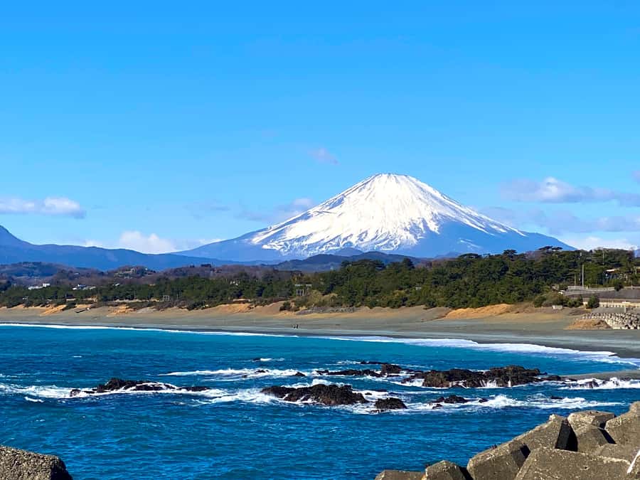 Oiso: Adventure Hike to See Mt. Fuji & Historic Coastal Walk - A guide who can adjust the day