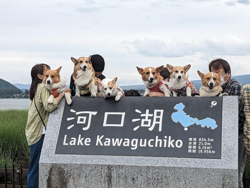 One Day 10hrs Mount Fuji Tour English Speaking Driver - Key points to know before booking