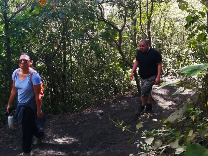 Pacaya Volcano Tour & Hot Springs from Guatemala City - Service quality and the practical risks