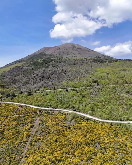 Pedal to Vesuvius and Discover the Crater of the Volcano - Is $85 a fair price?