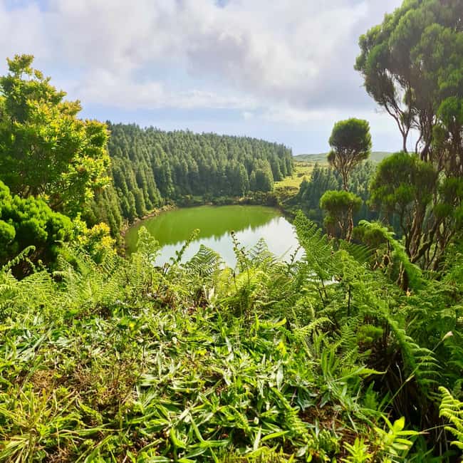 Pico Island: Lagoons and Mysterious Lava Tunnels Guided Tour - Below the surface in Pico’s lava tunnels