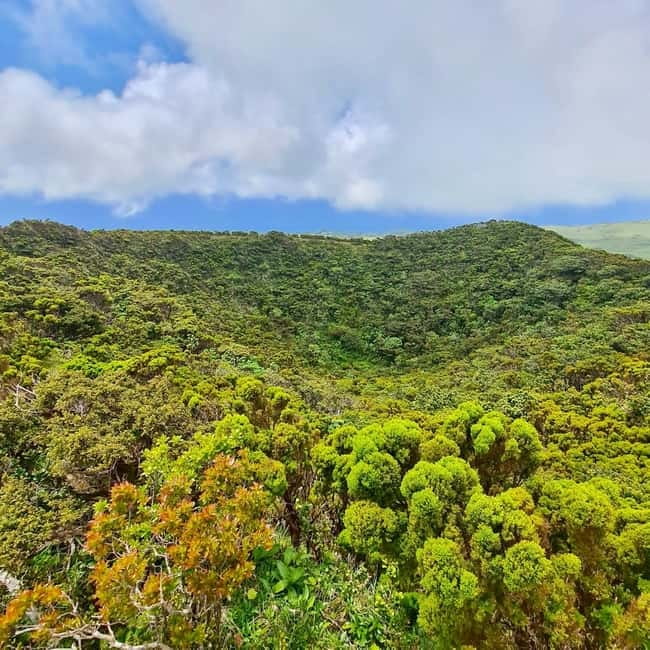 Pico Island: Lagoons and Mysterious Lava Tunnels Guided Tour - What the $100 price includes