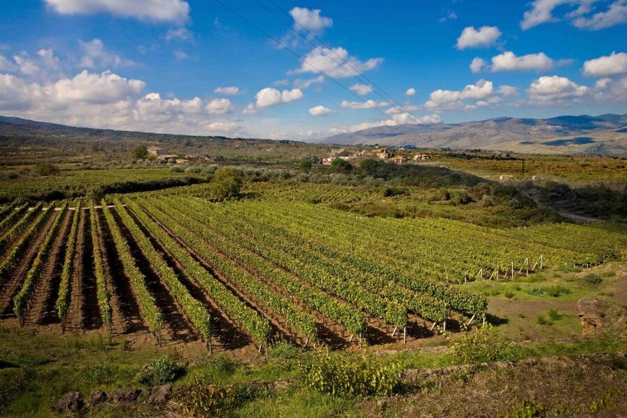 Piedimonte Etneo: Etna Wine Train Tour & Sicily Wine tasting - Why the Etna Wine Train feels different