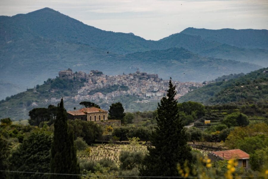 Piedimonte Etneo: Etna Wine Train Tour & Sicily Wine tasting - Randazzo and the historic village visit