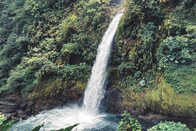 Poás Volcano and Coffee Tour with Tasting and La Paz Falls - La Paz Falls is scenic but brief