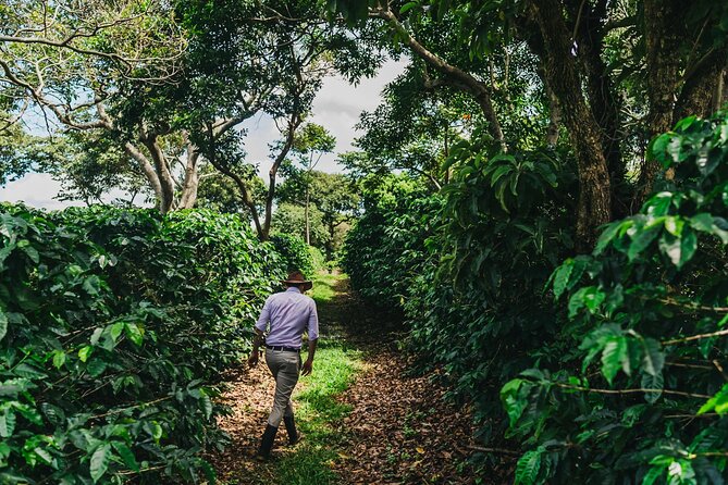 Poás Volcano and Coffee Tour with Tasting and La Paz Falls - Who should book this Poás day trip?