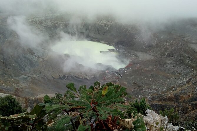 Poas Volcano waterfalls and coffee tour from from San Jose - Key things to know before booking