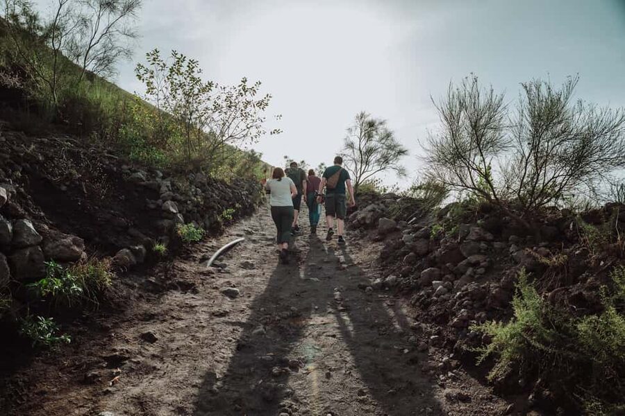 Pompeii and Mount Vesuvius excursion from Naples - Hiking Mount Vesuvius to the crater