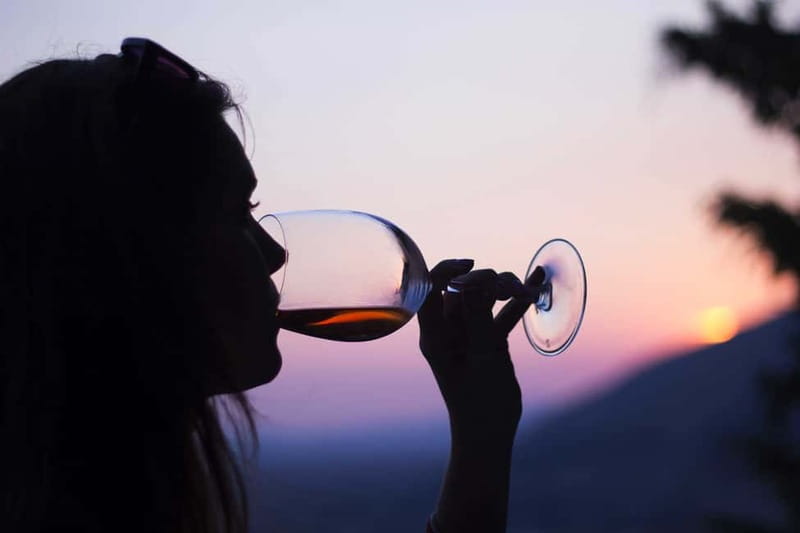 Pompeii: Archeological Tour & Wine Tasting at Mt. Vesuvius - Pompeii in two hours: a brisk but useful introduction
