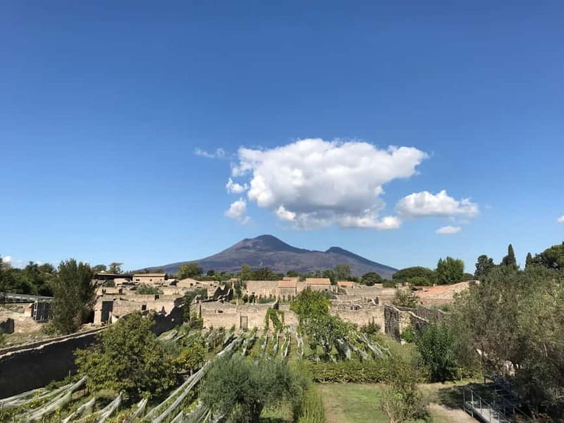 Pompeii: Archeological Tour & Wine Tasting at Mt. Vesuvius - A Vesuvian lunch with four wines