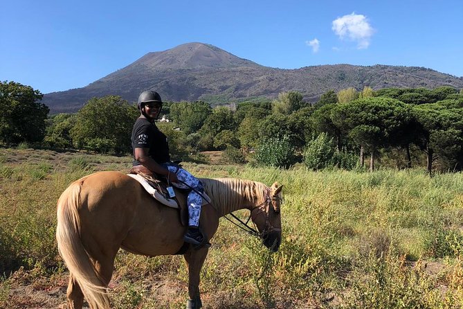 Pompeii Guided Tour & Horse Riding on Vesuvius with Lunch - Lunch among Vesuvius vineyards