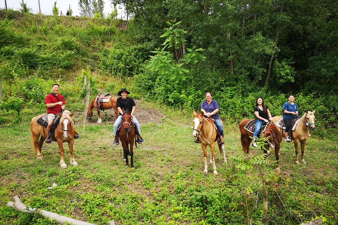 Pompeii Guided Tour & Horse Riding on Vesuvius with Lunch - Transportation keeps a complicated day manageable