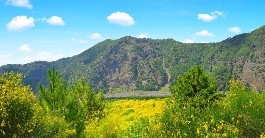 Pompeii, Herculaneum and Vesuvius Tour - Mount Vesuvius gives the day its dramatic opening