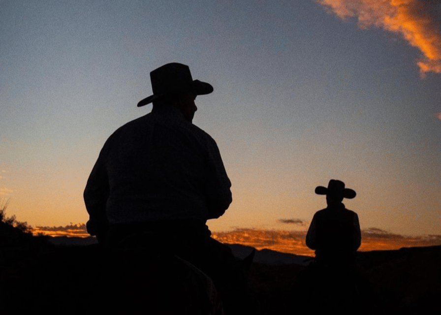 Pompeii: Mount Vesuvius Night Horseback Ride and Italian BBQ - Is $101.96 a fair price?