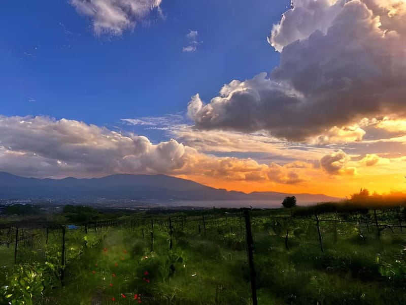 Pompeii: Mount Vesuvius Night Horseback Ride and Italian BBQ - Transfers from Pompeii and nearby towns