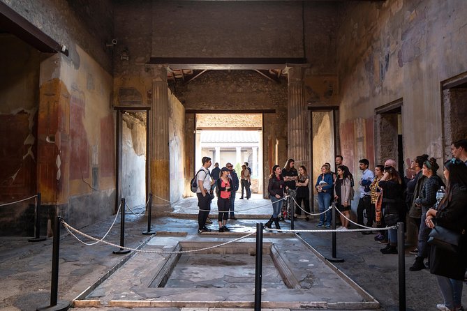 Pompeii & Mt.Vesuvius Day Tour from Naples with Pizza Lunch - Who should book this tour?