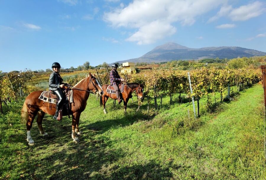 Pompeii: Ruins Tour and Mount Vesuvius Horseback Ride - Why this Pompeii and Vesuvius combination works