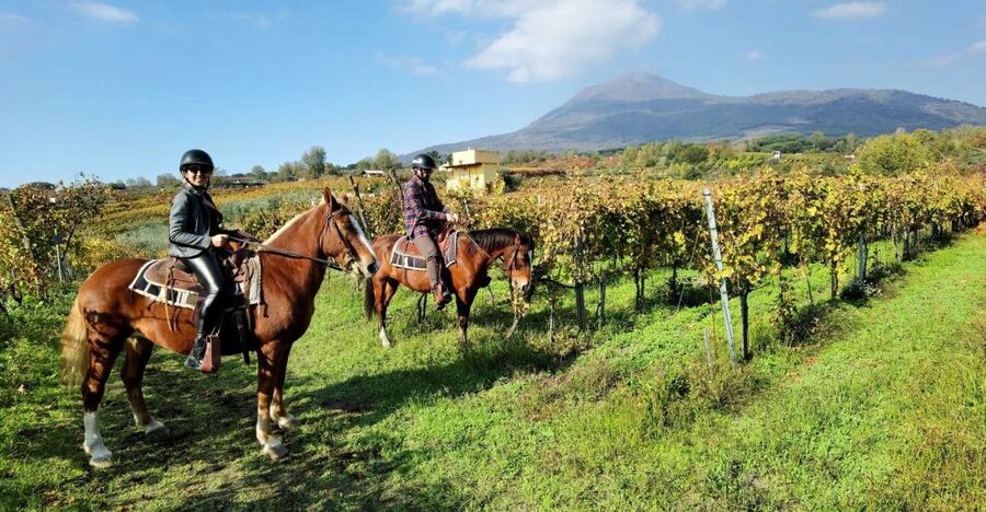 Pompeii: Ruins Tour and Mount Vesuvius Horseback Ride - Meeting your guide and getting the day moving