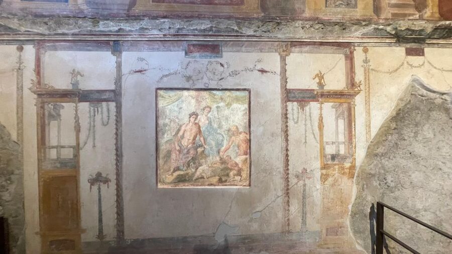 Pompeii - Vesuvius & Wine from Amalfi Coast all inclusive - Who will enjoy this tour most?