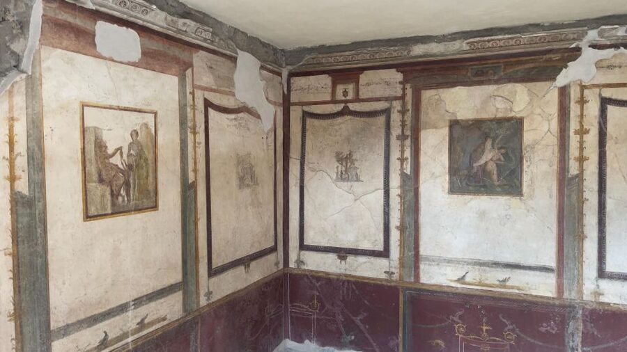 Pompeii - Vesuvius & Wine from Amalfi Coast all inclusive - Practical advice for the day