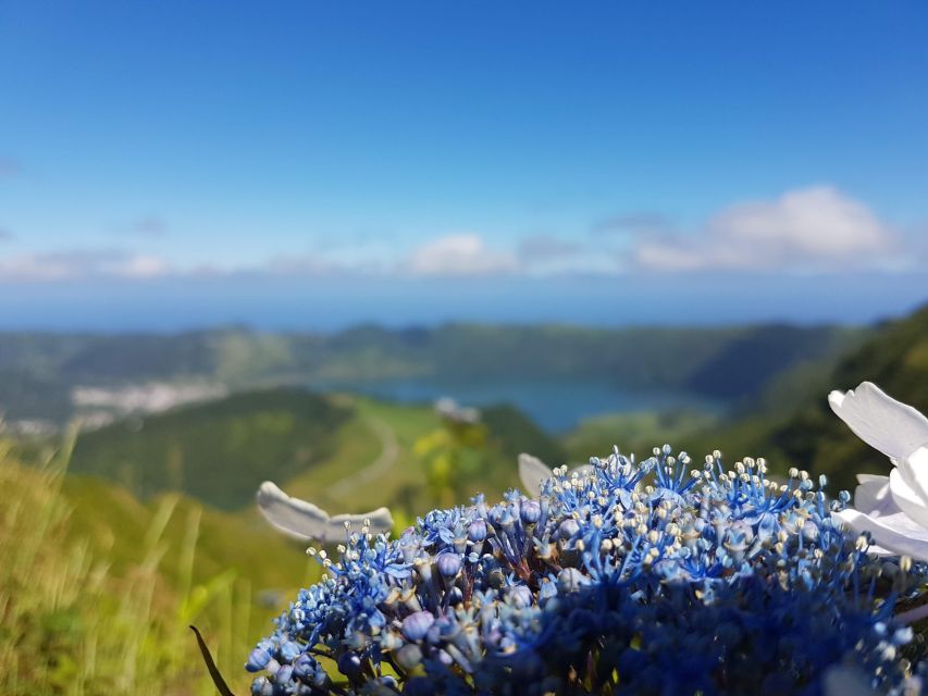 Ponta Delgada: Sete Cidades & Lagoa do Fogo Tour - Caldeira Velha Thermal Baths