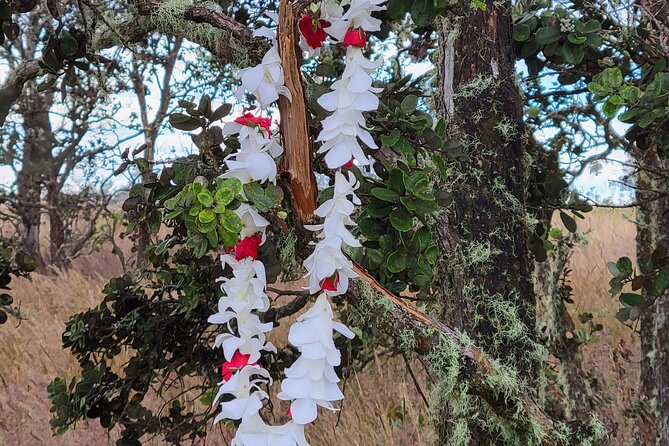 Port of Hilo to Volcano Tour - Rainbow Falls and the story of Waianuenue