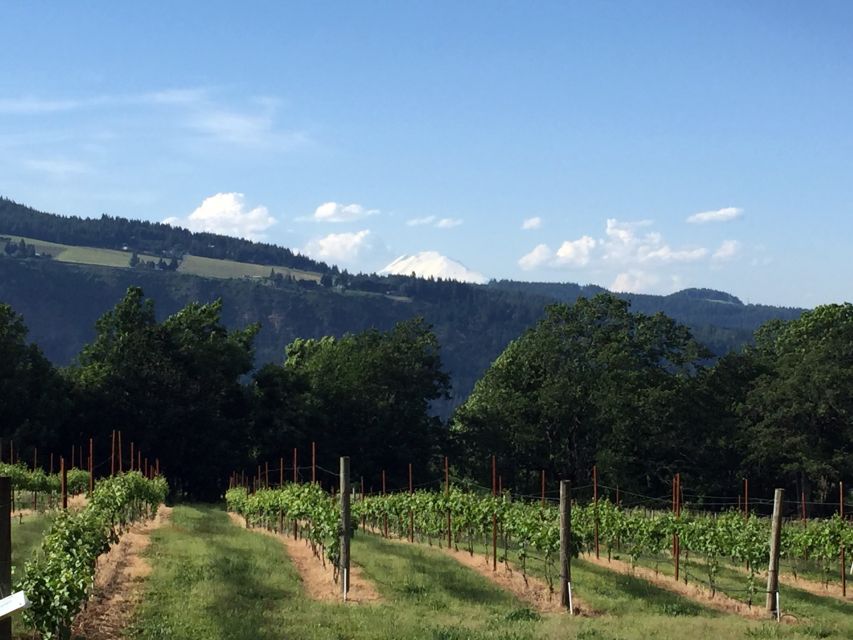 Portland: Mount Hood Wine and Waterfalls Full-Day Tour - Should you book the Mount Hood and waterfalls tour?