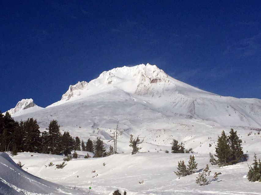Portland: Mount Hood Wine and Waterfalls Full-Day Tour - Timberline Lodge and the high slopes of Mount Hood