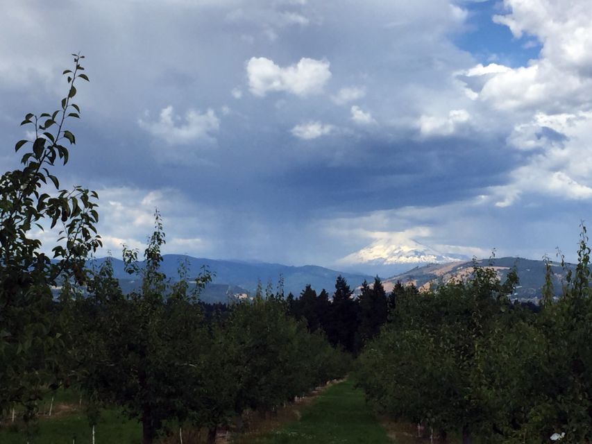 Portland: Mount Hood Wine and Waterfalls Full-Day Tour - A Hood River Valley winery lunch