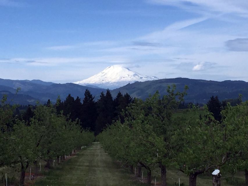 Portland: Mount Hood Wine and Waterfalls Full-Day Tour - Timing, weather, and who should book