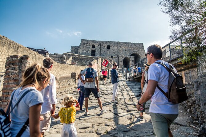 Priority Access Pompeii & Mt. Vesuvius Full day from Sorrento - Starting early from central Sorrento