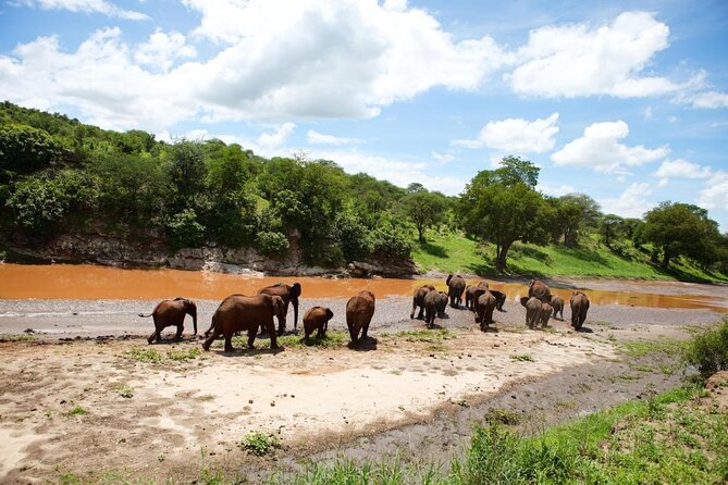 Private 6-Day Tarangire Manyara Crater and Serengeti with Mid-Range Lodges - Key points at a glance