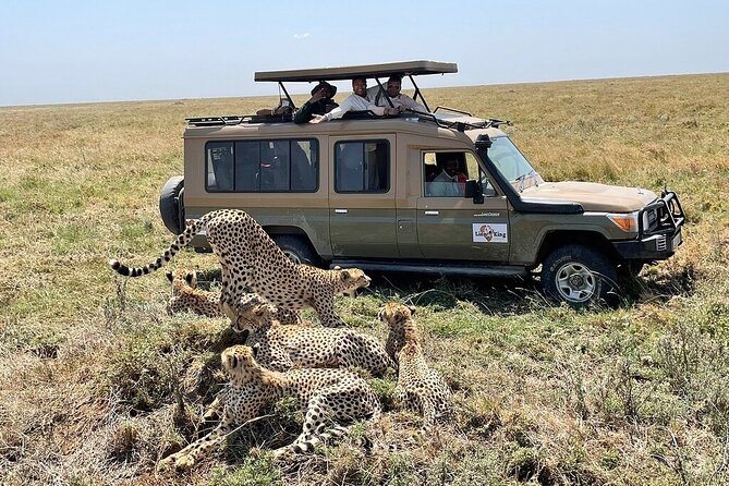 Private 6-Day Tarangire Manyara Crater and Serengeti with Mid-Range Lodges - Day 4: A full Serengeti day earns its place