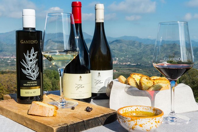 Private 6-Hour Tour of Three Etna Wineries with food&wine tasting - Why Etna wine feels different