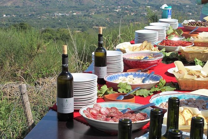 Private 6-Hour Tour of Three Etna Wineries with food&wine tasting - Third stop: smaller-scale charm near Mount Etna